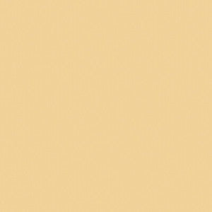 Nuova Vita Linen Sand 2024109.1614.0 by Lee Jofa Fabric