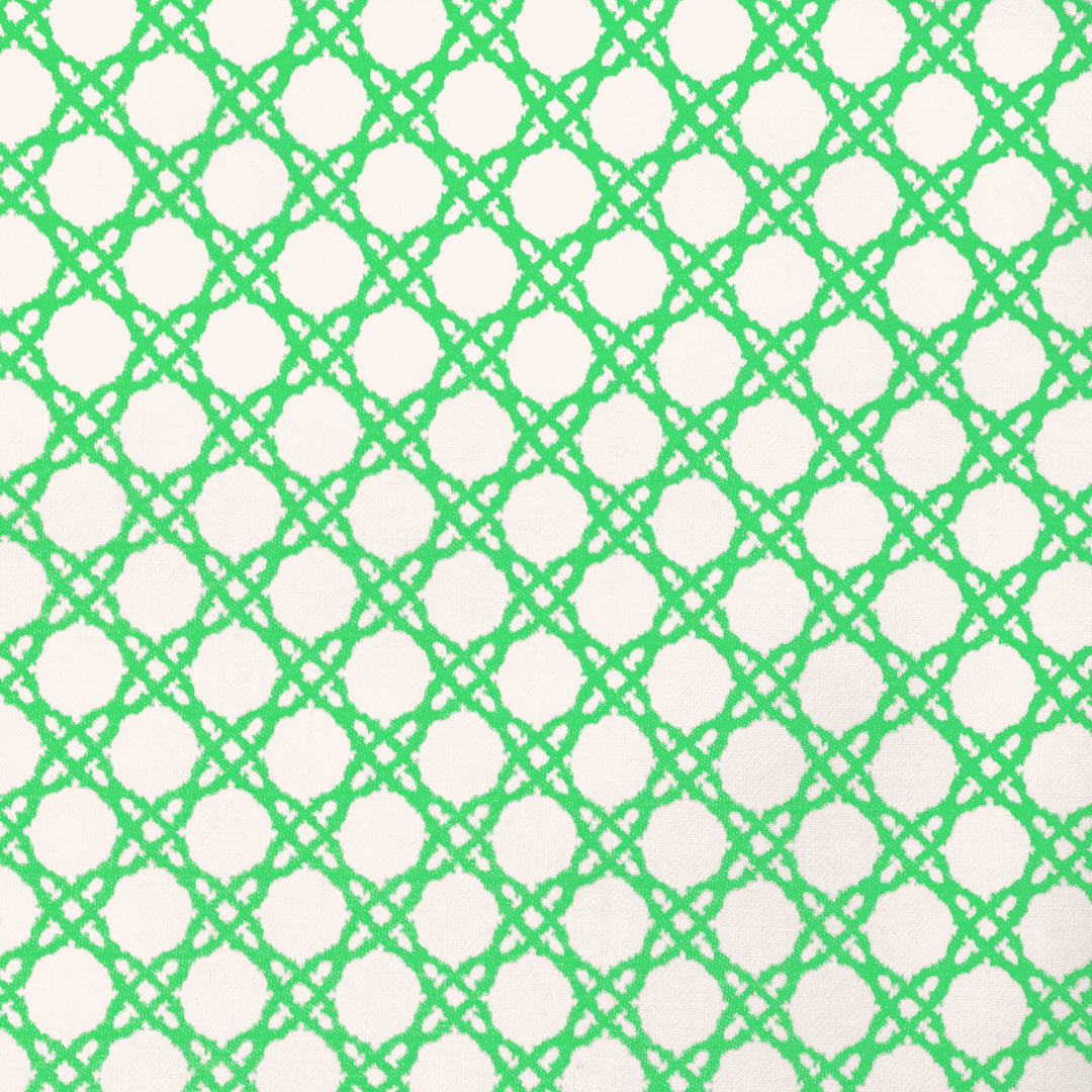 Coastal Cane - Green By Lee Jofa Fabric