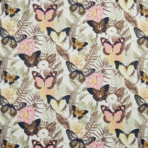 20470-01 by Charlotte Fabric