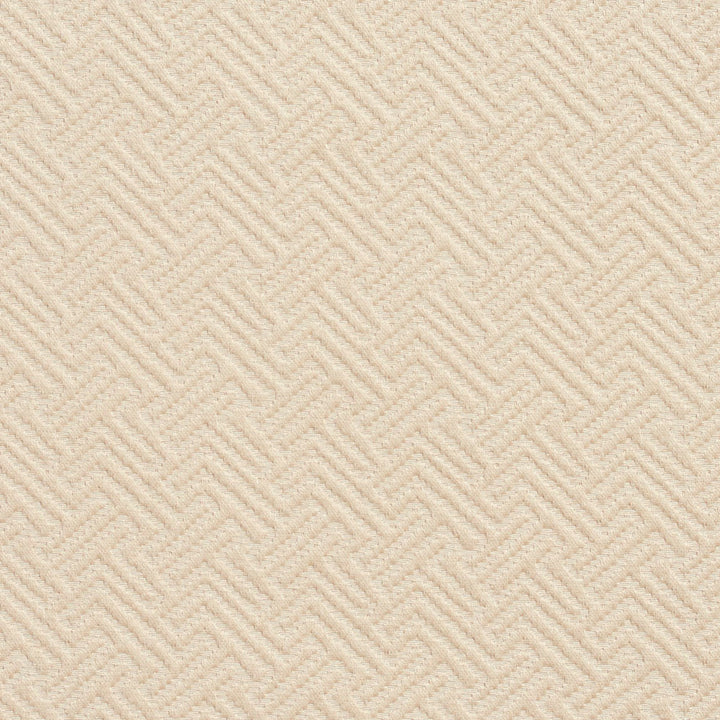 20600-05 by Charlotte Fabric Millennium 65% Cotton, 35% Polyester Asia Exceeds 60,000 Wyzenbeek Rubs (Heavy Duty) Horizontal: 1.25" x Vertical: 1.5" 54 Inches - Fabric Carolina -
