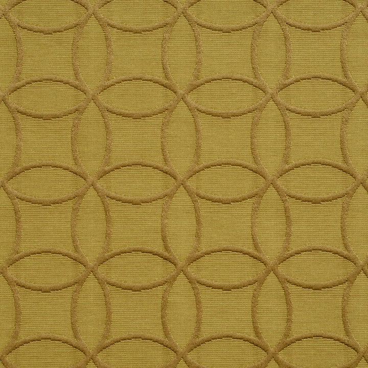 20610-03 by Charlotte Fabric Millennium 65% Cotton, 35% Polyester Asia Exceeds 60,000 Wyzenbeek Rubs (Heavy Duty) Horizontal: 3" x Vertical: 3" 54 Inches - Fabric Carolina -