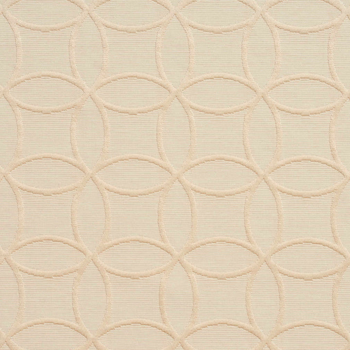 20610-05 by Charlotte Fabric Millennium 65% Cotton, 35% Polyester Asia Exceeds 60,000 Wyzenbeek Rubs (Heavy Duty) Horizontal: 3" x Vertical: 3" 54 Inches - Fabric Carolina -