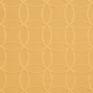20610-09 by Charlotte Fabric