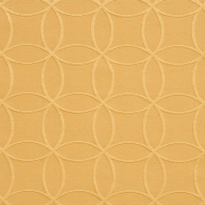 20610-09 by Charlotte Designer Fabric Millennium 65% Cotton, 35% Polyester Asia Exceeds 60,000 Wyzenbeek Rubs (Heavy Duty) Horizontal: 3" x Vertical: 3" 54 Inches - Swanky Fabrics -
