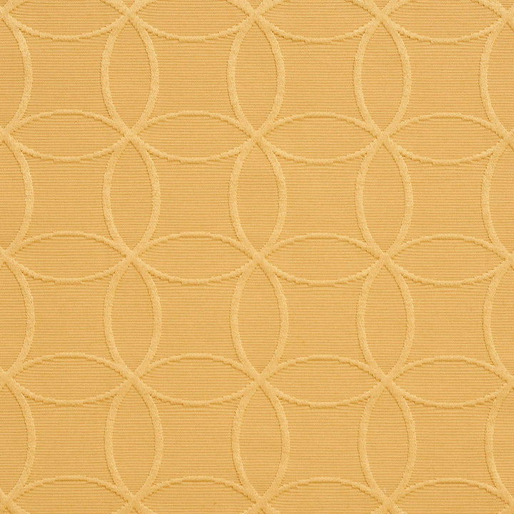 20610-09 by Charlotte Fabric Millennium 65% Cotton, 35% Polyester Asia Exceeds 60,000 Wyzenbeek Rubs (Heavy Duty) </p><p>Repeat: Horizontal: 3" x Vertical: 3" 54 Inches - Fabric Carolina -