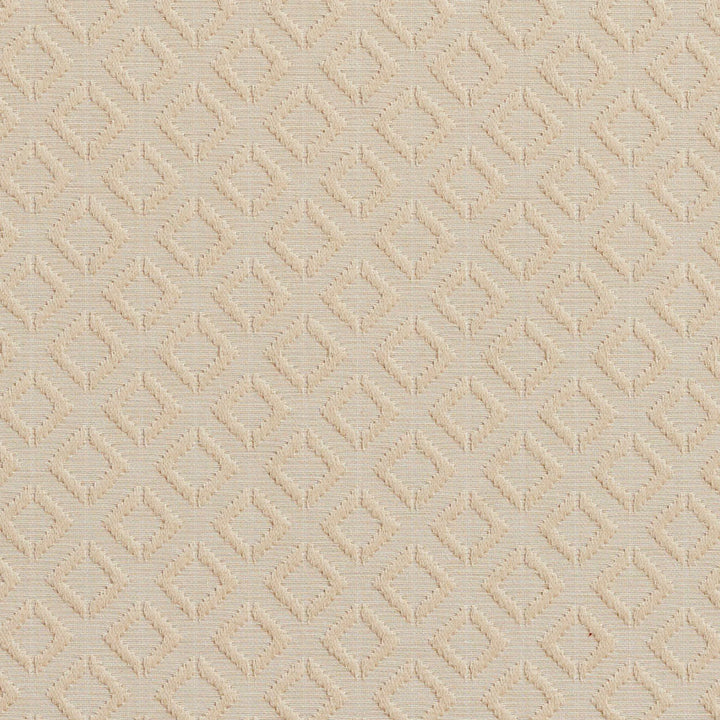 20640-05 by Charlotte Fabric Millennium 65% Cotton, 35% Polyester Asia Exceeds 60,000 Wyzenbeek Rubs (Heavy Duty) Horizontal: 1.5" x Vertical: 1.5" 54 Inches - Fabric Carolina -