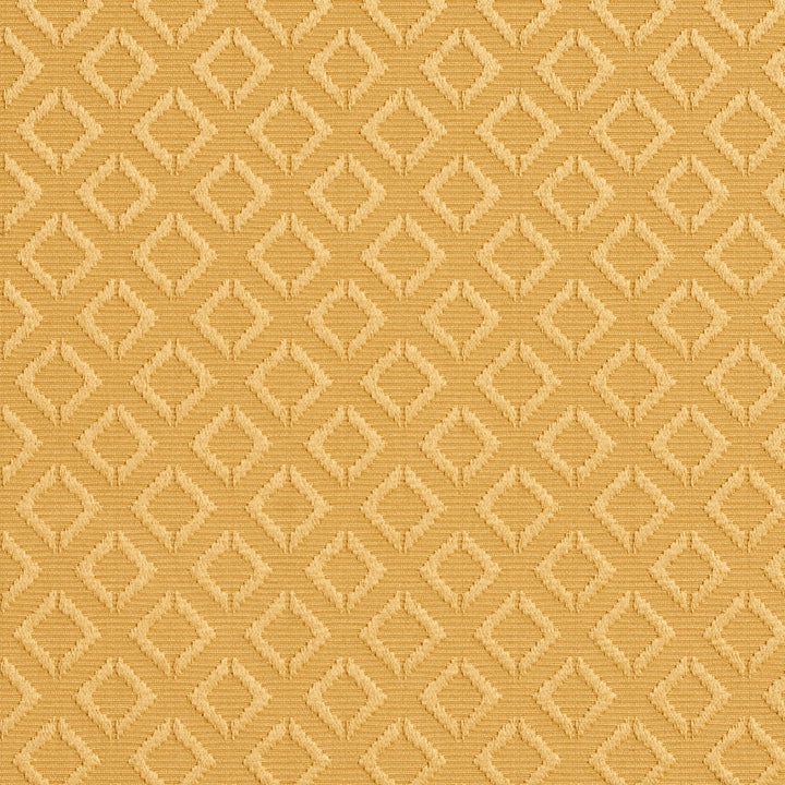 20640-09 by Charlotte Fabric Millennium 65% Cotton, 35% Polyester Asia Exceeds 60,000 Wyzenbeek Rubs (Heavy Duty) Horizontal: 1.5" x Vertical: 1.5" 54 Inches - Fabric Carolina -