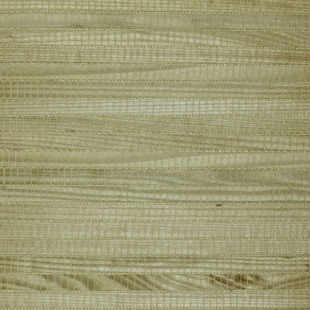 2066 75W6061 by JF Wallpaper SHANGHAI GRASSCLOTH 100% Wallpaper CHINA (see sample) Horizontal: N/A and Vertical: N/A 36.00 - Fabric Carolina -