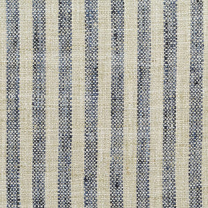 Swift Lakeland Rb19 437 by P Kaufmann Fabrics Fabric