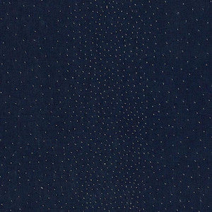 Northern Lights Midnight 69952 by Schumacher Fabric