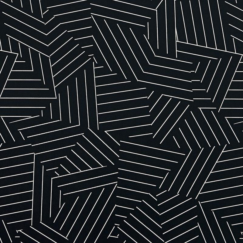 Deconstructed Stripe Ivory On Black 5007974 by Schumacher Wallpaper New Wave: Black & White 13.5" - Fabric Carolina -