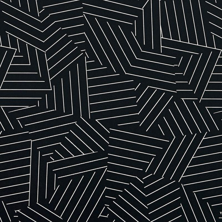 Deconstructed Stripe Ivory On Black 5007974 by Schumacher Wallpaper New Wave: Black & White 13.5" - Fabric Carolina -