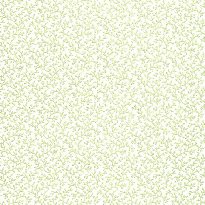 Coral Vine Aloe 5004412 by Schumacher Wallpaper Simply Charming 4.5" - Fabric Carolina -