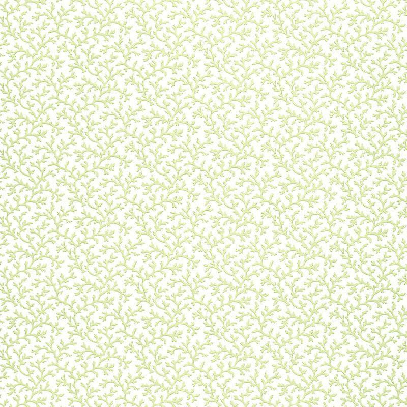 Coral Vine Aloe 5004412 by Schumacher Designer Wallpaper Simply Charming 4.5" - Swanky Fabrics -