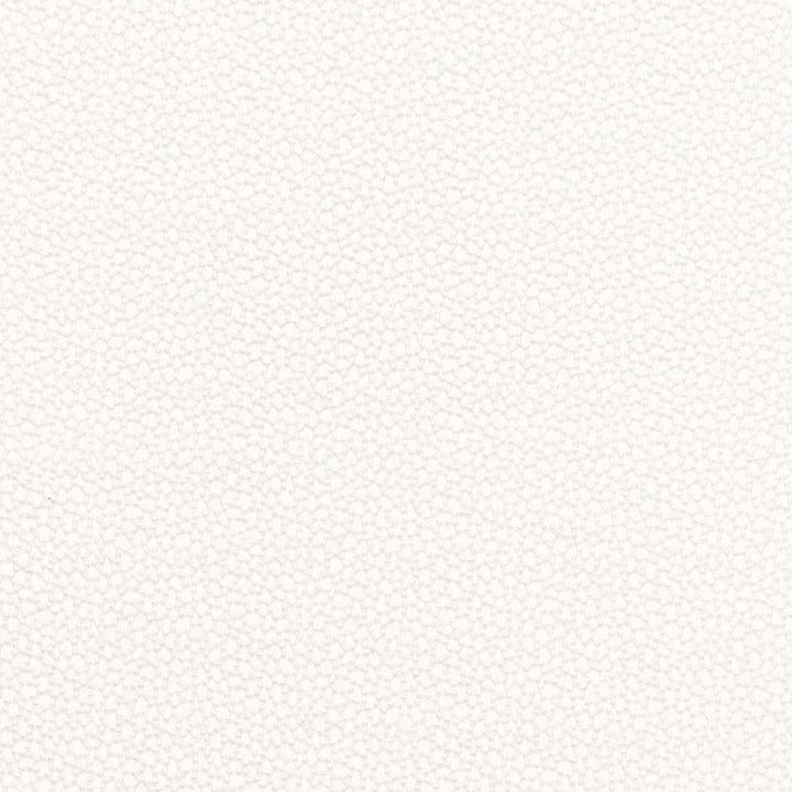 Rossini Sheer Ivory 67660 by Schumacher Designer Fabric Essentials: Sheers & Casements - Swanky Fabrics -