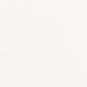 Rossini Sheer Ivory 67660 by Schumacher Fabric
