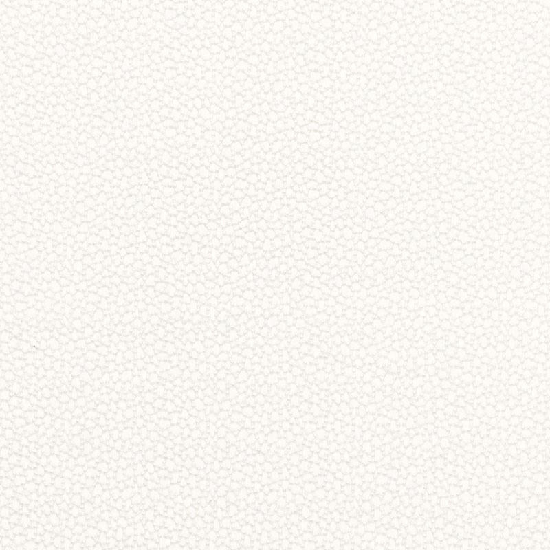 Rossini Sheer Ivory 67660 by Schumacher Fabric Essentials: Sheers & Casements - Fabric Carolina -