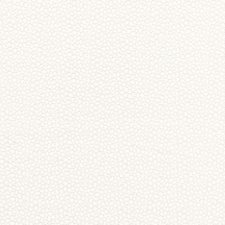 Rossini Sheer Ivory 67660 by Schumacher Fabric Essentials: Sheers & Casements - Fabric Carolina -