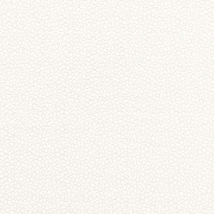 Rossini Sheer Ivory 67660 by Schumacher Fabric