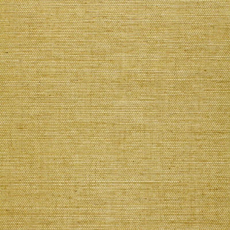 Osan Sisal Lime 529630 by Schumacher Wallpaper Quiet Beauty - Fabric Carolina -