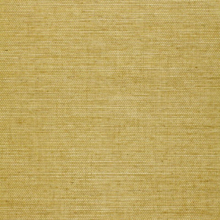 Osan Sisal Lime 529630 by Schumacher Wallpaper Quiet Beauty - Fabric Carolina -
