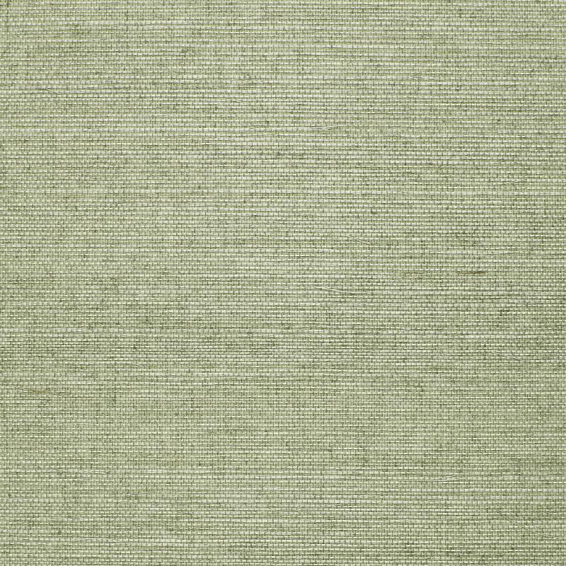 Osan Sisal Aqua 529631 by Schumacher Wallpaper Quiet Beauty - Fabric Carolina -