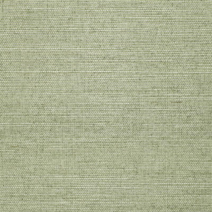 Osan Sisal Aqua 529631 by Schumacher Wallpaper Quiet Beauty - Fabric Carolina -