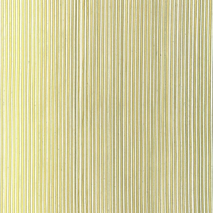 Rimini Rib Dusty Sage 529903 by Schumacher Wallpaper Modern Glamour - Fabric Carolina -