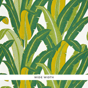 Tropical Isle Green On White 2707230 by Schumacher Wallpaper