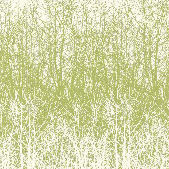 Birches Leaf/White 2707242 by Schumacher Wallpaper Modern Nature 13.5" - Fabric Carolina -