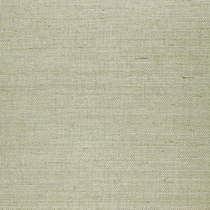 Suwon Sisal Aqua 5000760 by Schumacher Wallpaper