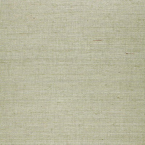 Suwon Sisal Aqua 5000760 by Schumacher Wallpaper