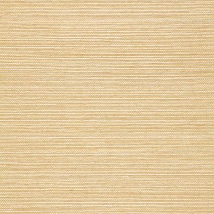 Onna Sisal Beige 5002196 by Schumacher Designer Wallpaper Quiet Beauty - Swanky Fabrics -