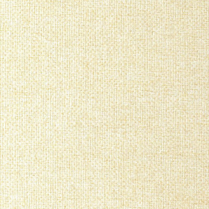 Yuki Weave Sand 5003070 by Schumacher Wallpaper Natural Textures - Fabric Carolina -