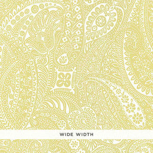 Paisley Print Spring 5003193 by Schumacher Wallpaper