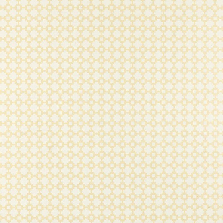 Shake It Up Natural 5003231 by Schumacher Wallpaper Essential 1.25" - Fabric Carolina -
