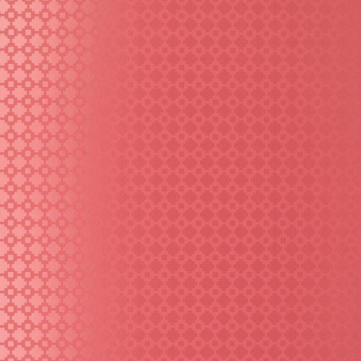 Shake It Up Raspberry Gloss 5003232 by Schumacher Wallpaper Essential 1.25" - Fabric Carolina -