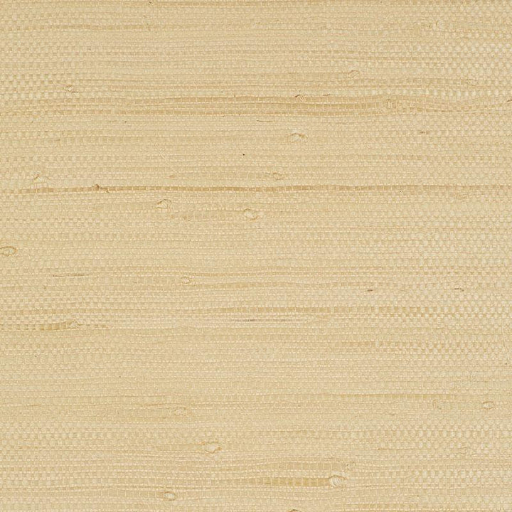Kiyoko Jute Natural 5008850 by Schumacher Wallpaper Textural Appeal - Fabric Carolina -