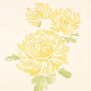 Hana Sisal Yellow 5009040 by Schumacher Wallpaper