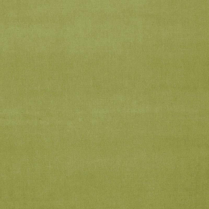 Gainsborough Velvet Celery 42864 by Schumacher Fabric Perfect Basics: Velvet - Fabric Carolina -