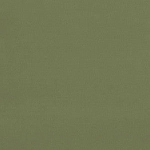 Gainsborough Velvet Celadon 42875 by Schumacher Fabric