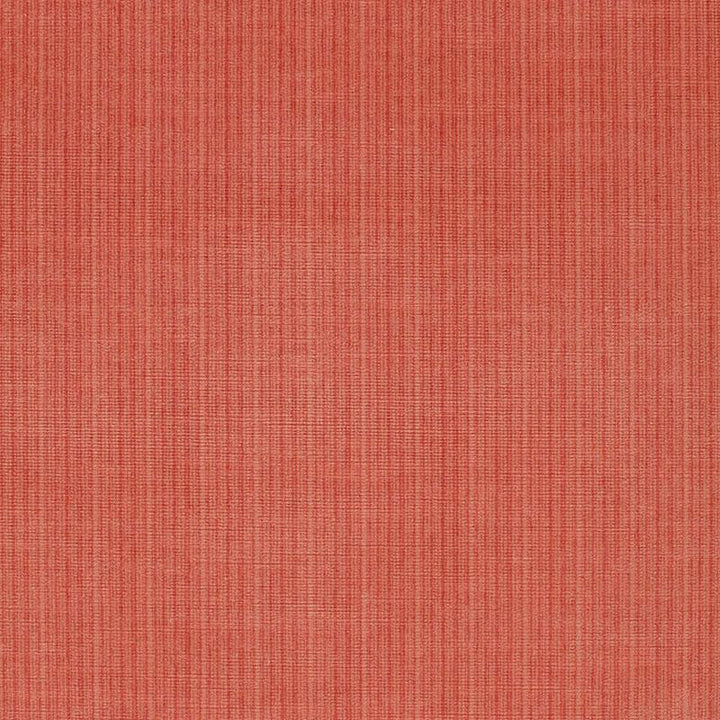 Antique Strie Velvet Coral 43046 by Schumacher Designer Fabric Perfect Basics: Velvet - Swanky Fabrics -