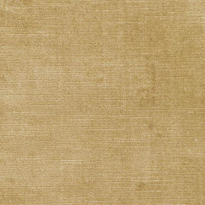 Antique Linen Velvet Champagne 43131 by Schumacher Fabric Perfect Basics: Velvet - Fabric Carolina -