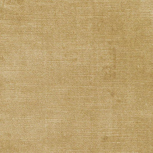 Antique Linen Velvet Champagne 43131 by Schumacher Fabric