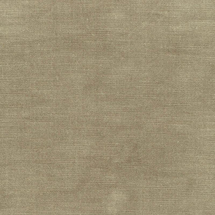 Antique Linen Velvet Pebble 43145 by Schumacher Fabric Perfect Basics: Velvet - Fabric Carolina -