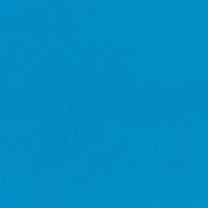 Ravello Indoor/Outdoor Ocean 71064 by Schumacher Fabric Perfect Basics: Indoor/Outdoor - Fabric Carolina -