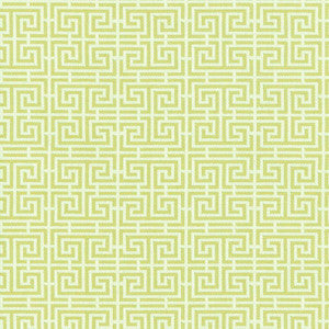 Chinois Fret Celadon / Ivory 54955 by Schumacher Fabric