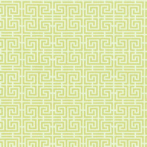 Chinois Fret Celadon / Ivory 54955 by Schumacher Fabric