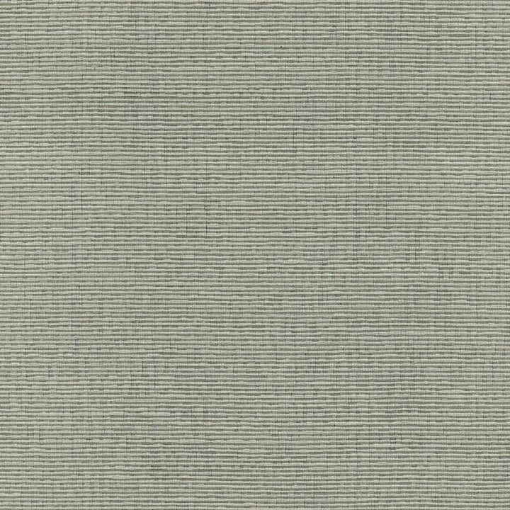 Delacroix Silk Ottoman Nickel 54965 by Schumacher Fabric Understated Luxury - Fabric Carolina -