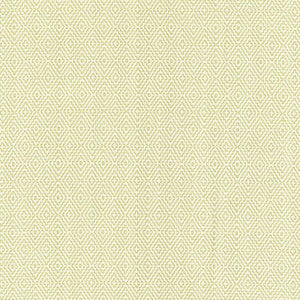 Hampton Court Diamond Celadon 62533 by Schumacher Fabric